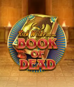 Dive into the thrilling world of Book of Dead Slot by Play'n GO, featuring vivid graphics of Rich Wilde's journey through ancient Egyptian tombs and artifacts. Find lost riches with captivating mechanics like free spins, expanding symbols, and a gamble option. Ideal for adventure enthusiasts with a desire for thrilling discoveries.